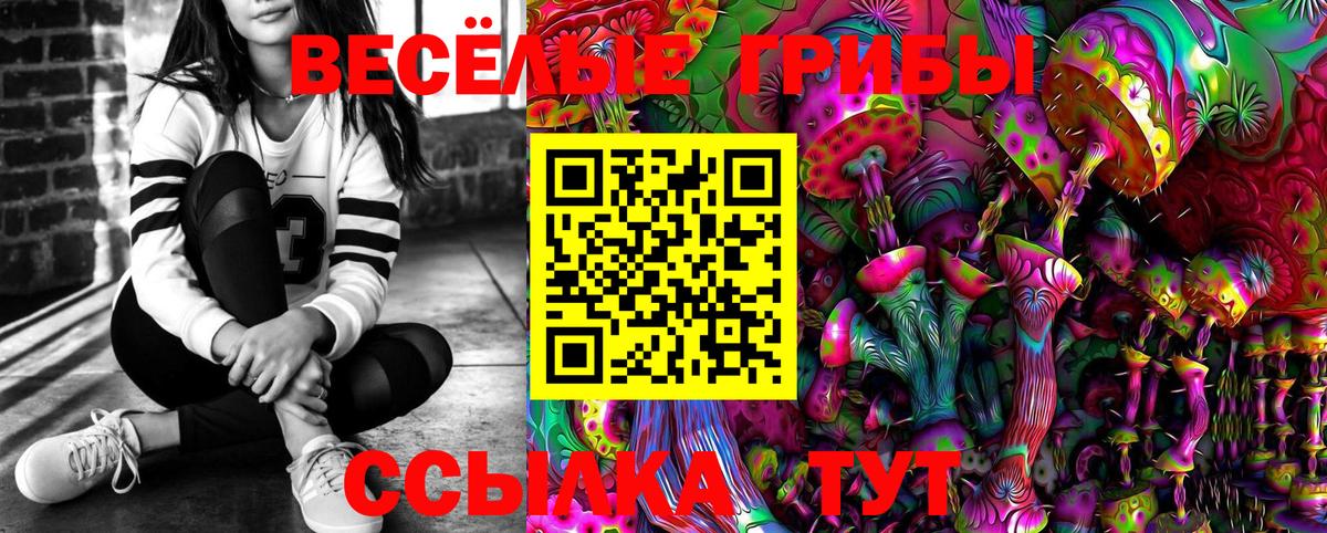 Псилоцибиновые грибы MAGIC MUSHROOMS  Галлюциногенные грибы GOLDEN TEACHER  Вход с VPN  Железноводск 