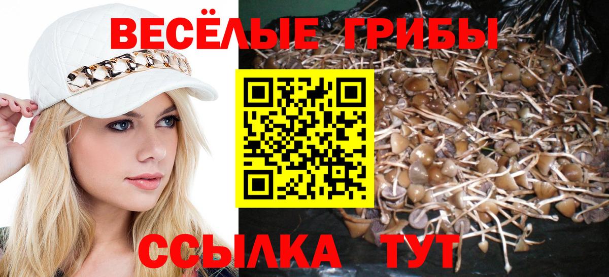 Псилоцибиновые грибы Psilocybe Железноводск